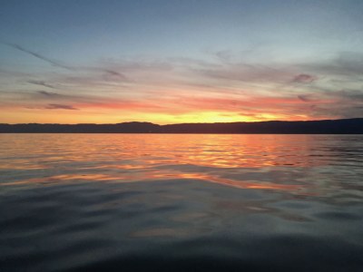 Holiday house Port Ripaille - Environment photo 17