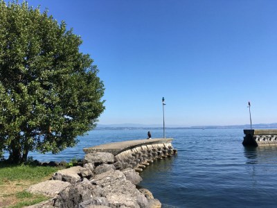 Holiday house Port Ripaille - Environment photo 19