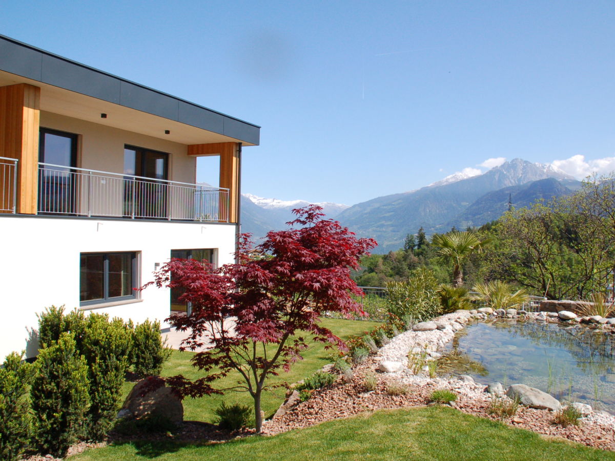 Holiday apartment Felsenegg Appartements - Outdoor photo 3