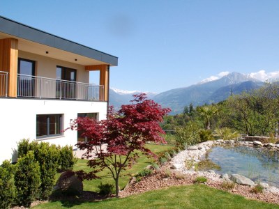 Holiday apartment Felsenegg Appartements - Outdoor photo 3