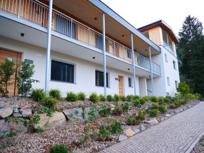 Holiday apartment Felsenegg Appartements - Outdoor photo 4