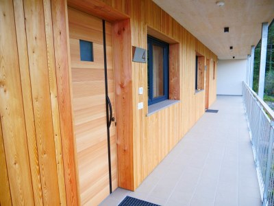 Holiday apartment Felsenegg Appartements - Outdoor photo 7