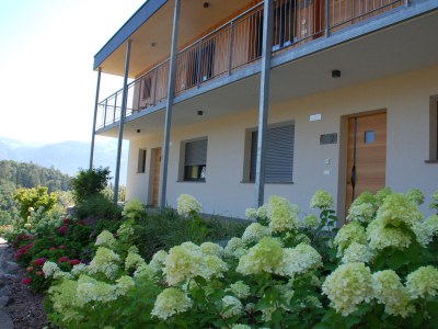 Holiday apartment Felsenegg Appartements - Outdoor photo 8