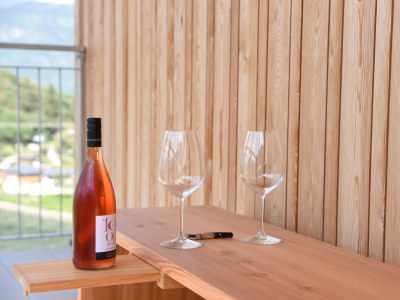 Holiday apartment Felsenegg Appartements - Outdoor photo 10