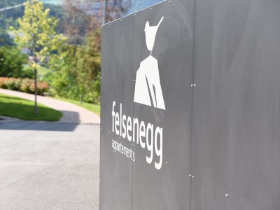 Holiday apartment Felsenegg Appartements - Outdoor photo 11