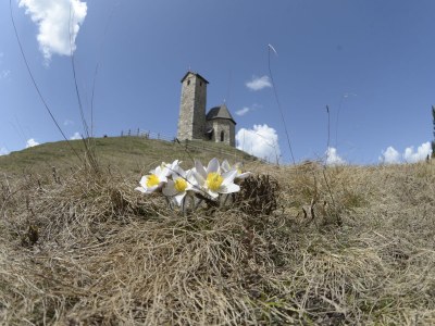 Holiday apartment Felsenegg Appartements - Environment photo 23