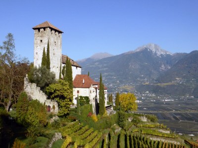 Holiday apartment Felsenegg Appartements - Environment photo 29