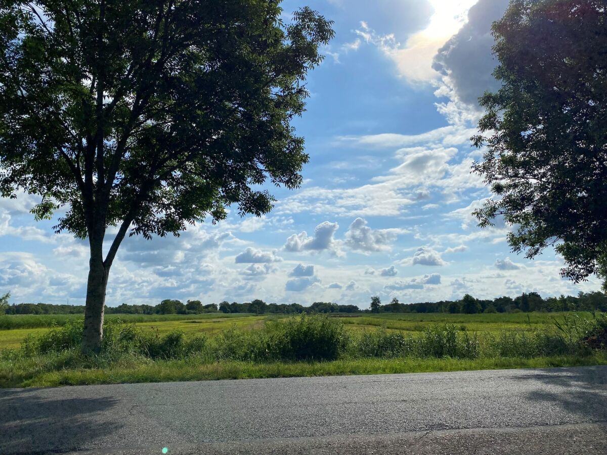 Holiday house Cottage in Dwarsgracht near Giethoorn - Outdoor photo 3