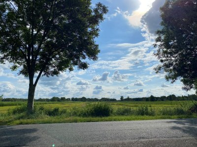 Holiday house Cottage in Dwarsgracht near Giethoorn - Outdoor photo 3