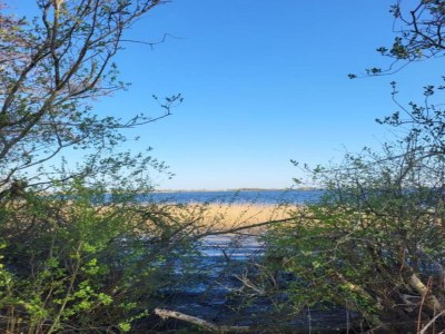 Holiday house Cottage in Dwarsgracht near Giethoorn - Environment photo 23