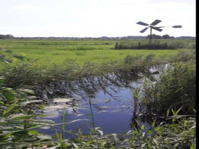 Holiday house Cottage in Dwarsgracht near Giethoorn - Environment photo 26