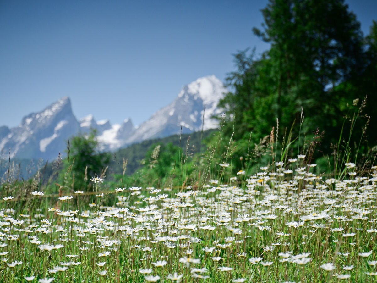 Holiday apartment Menzinger - Outdoor photo 5