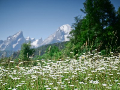 Holiday apartment Menzinger - Outdoor photo 5