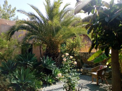 Holiday house Haus Achladia - Outdoor photo 7