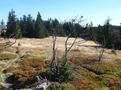 Holiday house Breit - Environment photo 25