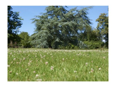 Holiday apartment Apartment L'abri de Marie - Outdoor photo 8