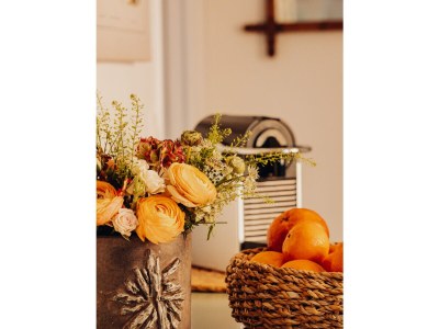 Holiday apartment Apartment L'abri de Marie - Features photo 27