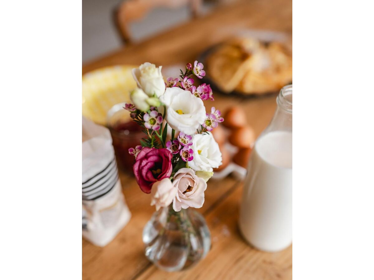 Holiday house La maison de Louison - Outdoor photo 3