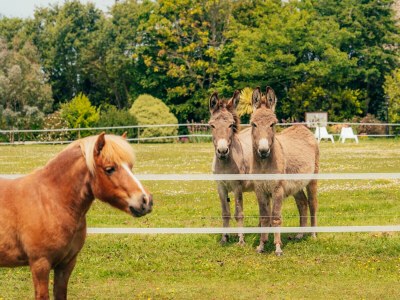 Holiday house La maison de Louison - Outdoor photo 9