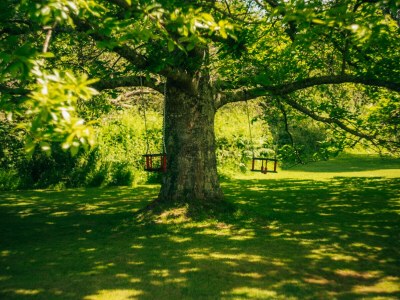 Holiday house La maison de Louison - Outdoor photo 15