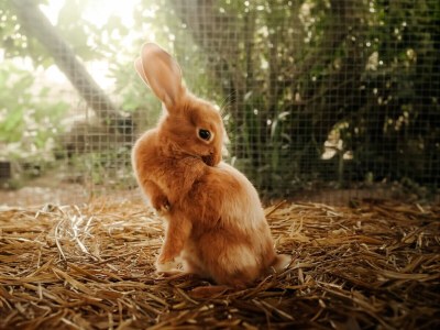 Holiday apartment Le domaine de Madeleine - Outdoor photo 10