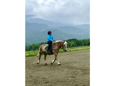 Holiday house Anna - Environment photo 22