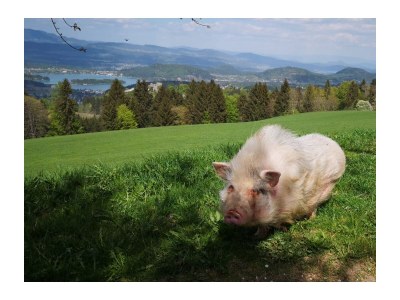 Holiday house Anna - Environment photo 26