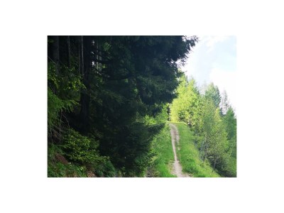 Holiday house Anna - Environment photo 28