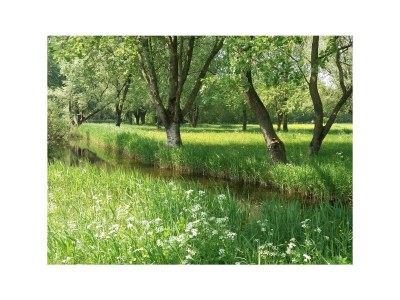 Holiday house mooi zo - Environment photo 14