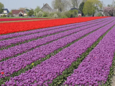 Holiday house mooi zo - Environment photo 19