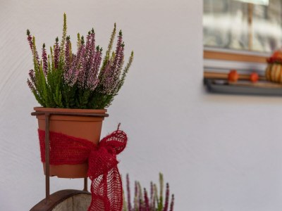 Apartment Chalet in Wald nahe Skipisten - Outdoor photo 27