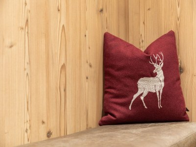 Apartment Chalet in Wald nahe Skipisten - Outdoor photo 36