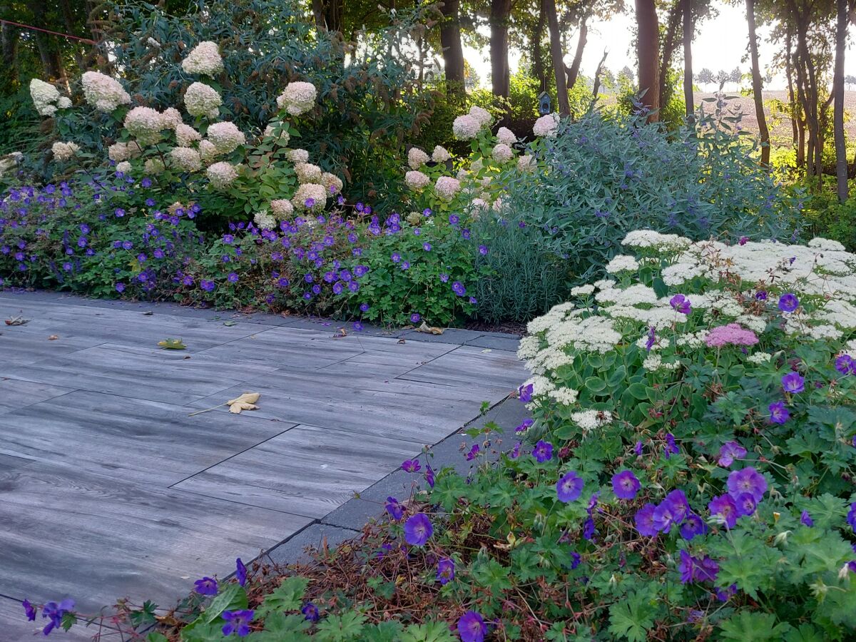 Holiday house Schliep - Outdoor photo 4