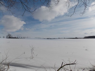 Holiday house Schliep - Outdoor photo 14