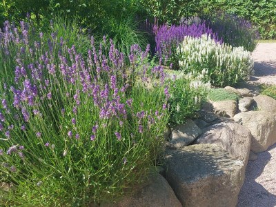 Holiday house Schliep - Outdoor photo 17