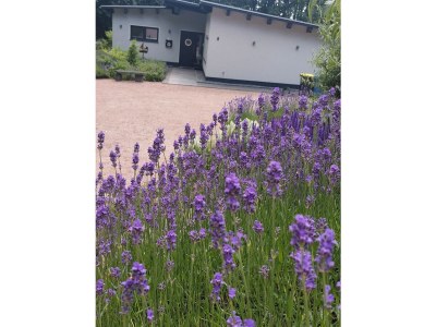 Holiday house Schliep - Outdoor photo 18