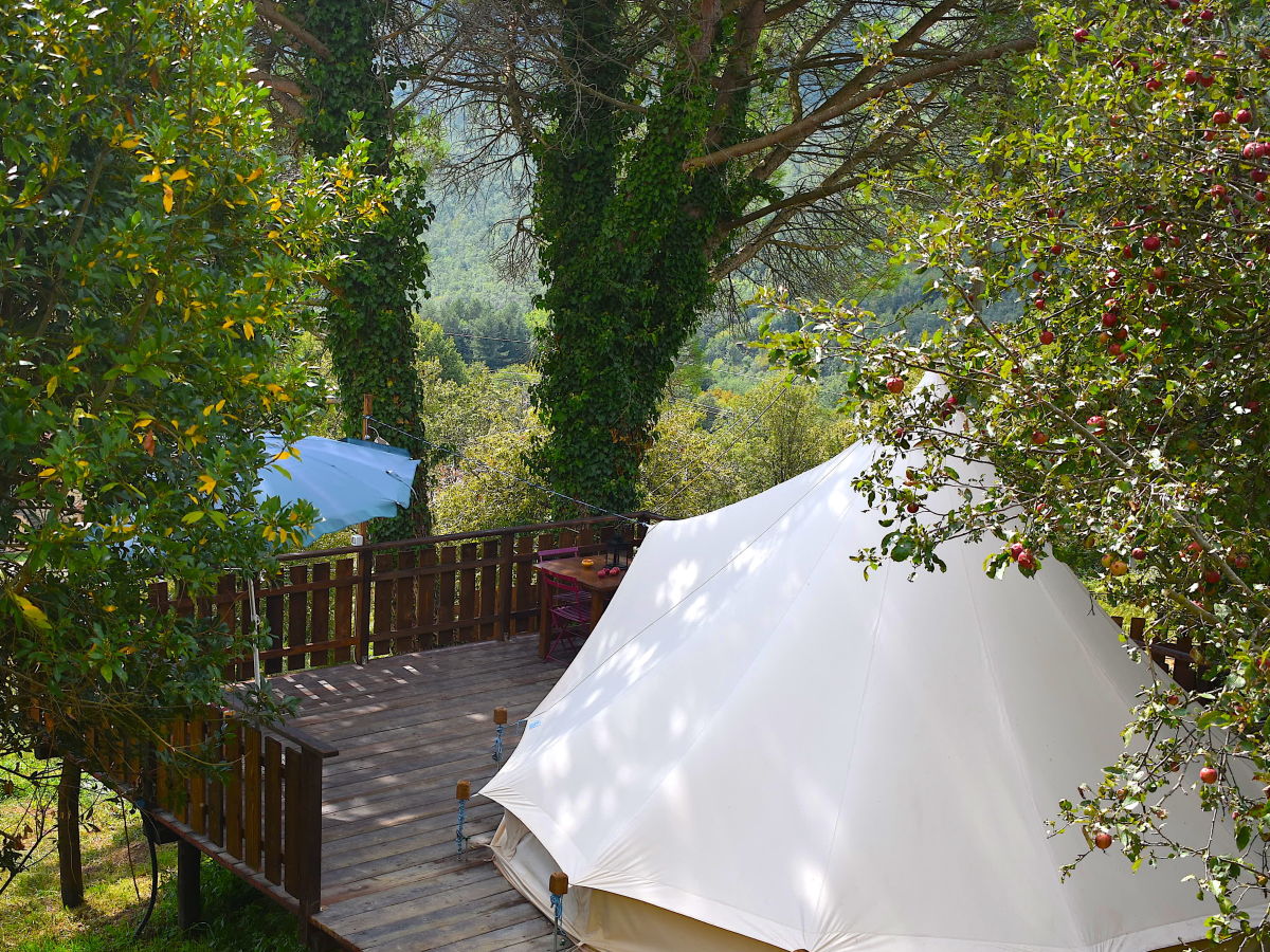 bio farm Glamping tent - Outdoor photo 4