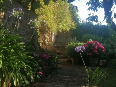 bio farm Glamping tent - Outdoor photo 11