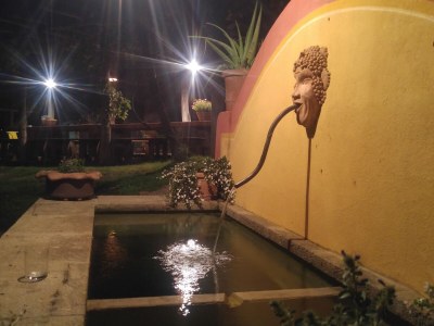 bio farm Glamping tent - Outdoor photo 12