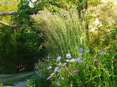bio farm Glamping tent - Outdoor photo 13