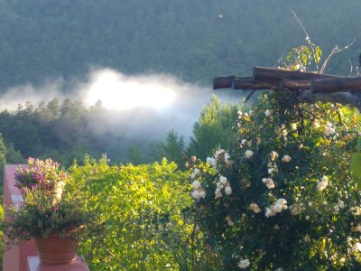 bio farm Glamping tent - Outdoor photo 15