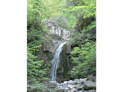 bio farm Glamping tent - Outdoor photo 16