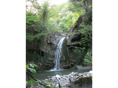bio farm Glamping tent - Environment photo 23