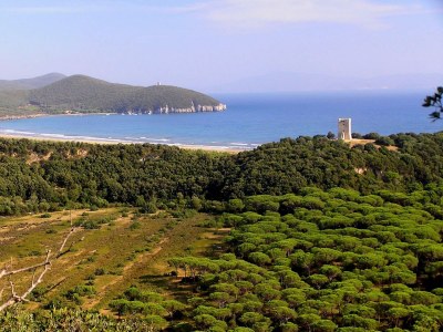 bio farm Glamping tent - Environment photo 24