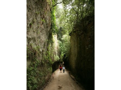 bio farm Glamping tent - Environment photo 27