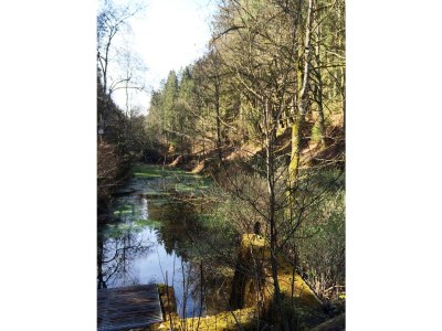 Holiday house In der Erlebach - Environment photo 16