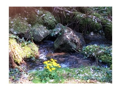 Holiday house In der Erlebach - Environment photo 17