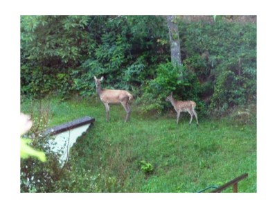 Holiday house In der Erlebach - Environment photo 18