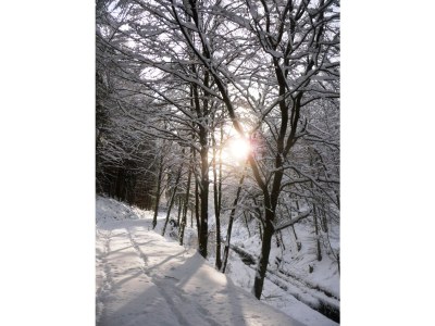 Holiday house In der Erlebach - Environment photo 19