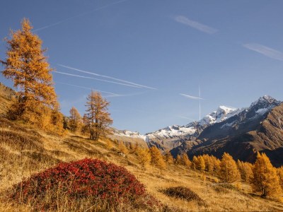 Holiday apartment Hochrain - Environment photo 20